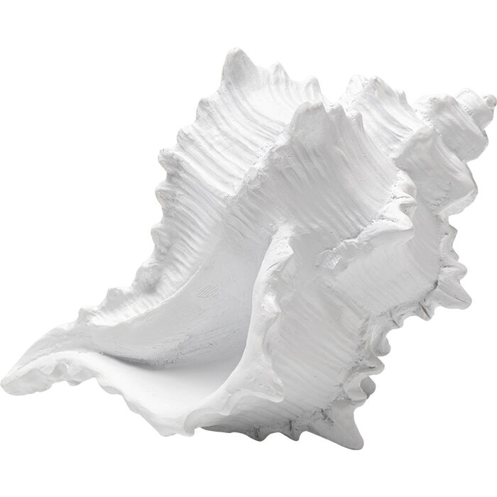 Deco Object Conch 19cm